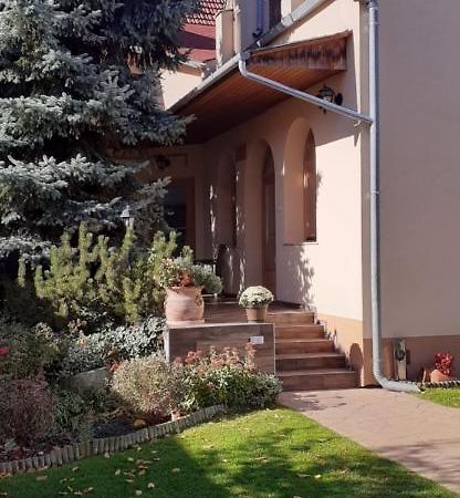 Hotel Kenguru Panzio Hódmezővásárhely Exteriér fotografie