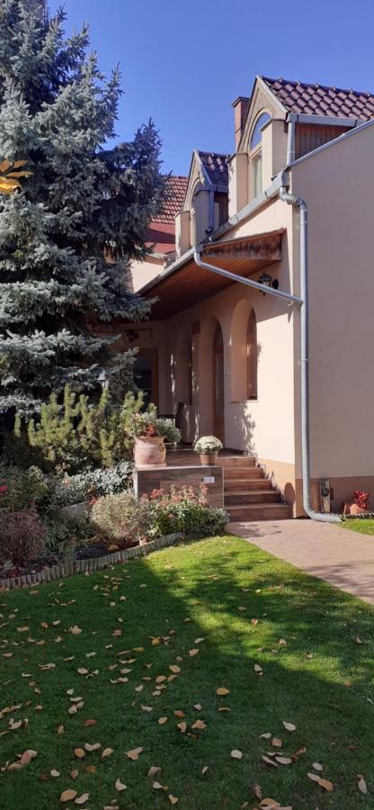 Hotel Kenguru Panzio Hódmezővásárhely Exteriér fotografie