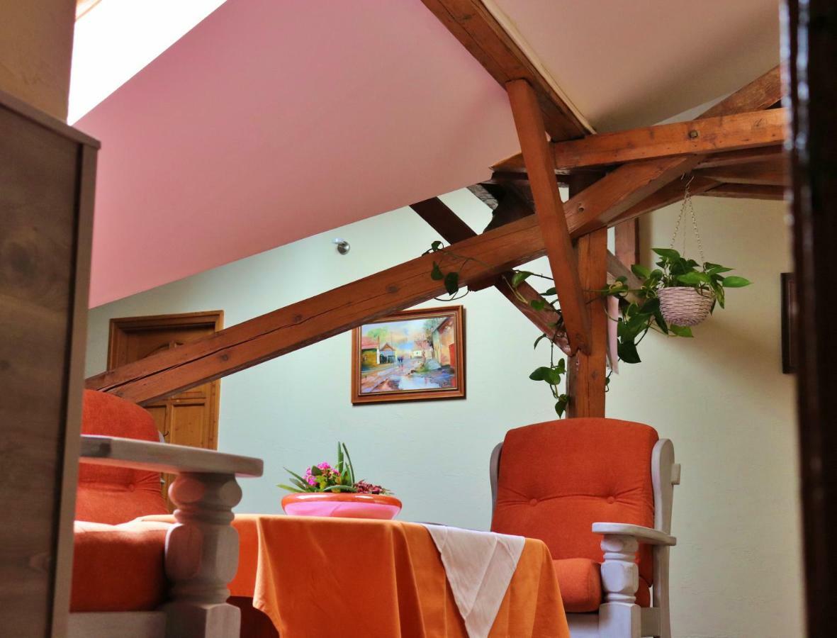 Hotel Kenguru Panzio Hódmezővásárhely Exteriér fotografie
